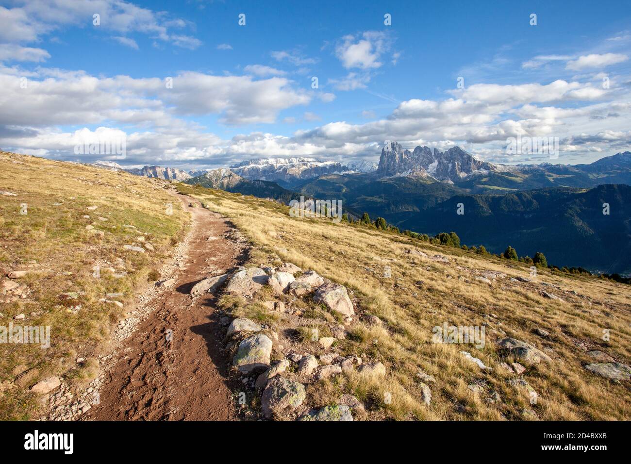 Un sentiero attraversa una collina in pendenza e passa davanti alle viste del Gruppo Langkofel, nella regione dolomitica dell'Alto Adige, Italia Foto Stock