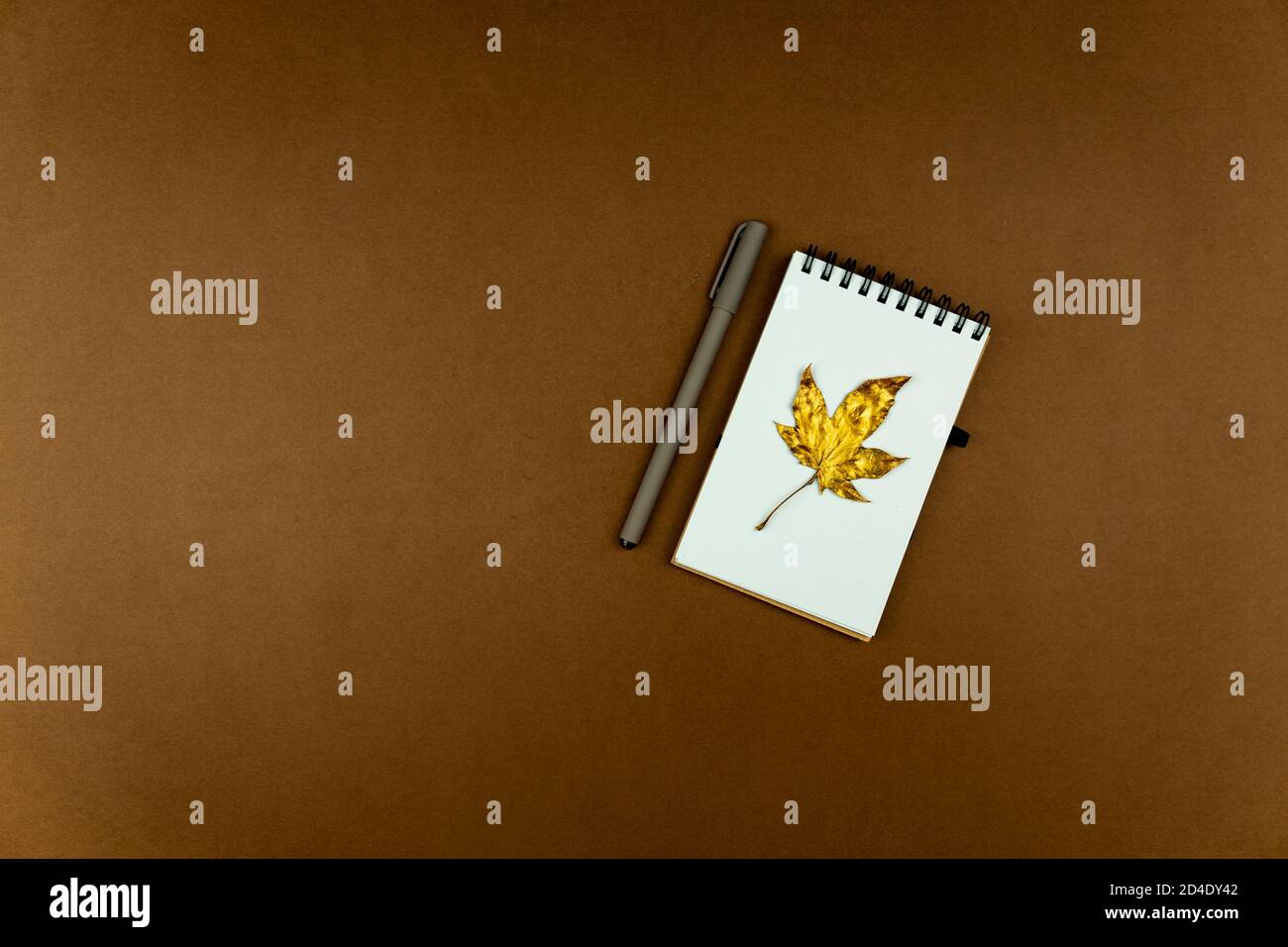 Concetto di business autunnale - notebook vuoto ad anello con foglia d'acero dorato e penna su sfondo marrone con spazio per la copia. Foto Stock