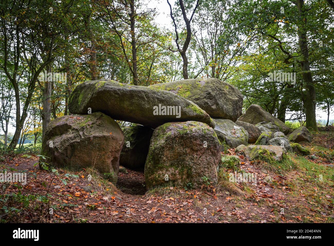 Tomba megalitica preistorica o dolmen, una tomba scavata e ricostruita di passaggio da large pietre nella foresta di Klein Gornow, Sternberg, Germa Foto Stock