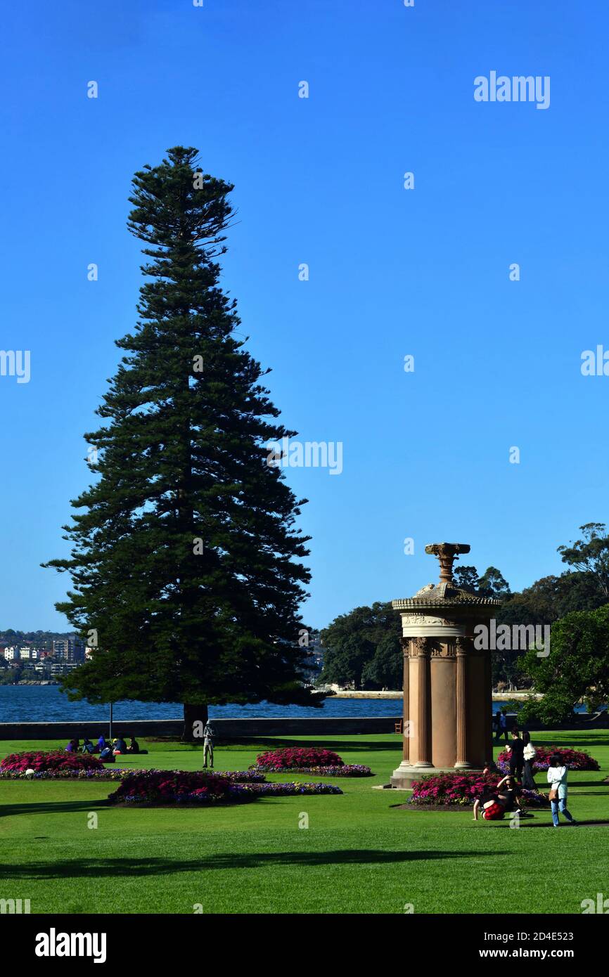 Una vista dei Giardini Botanici reali di Sydney, Australia Foto Stock