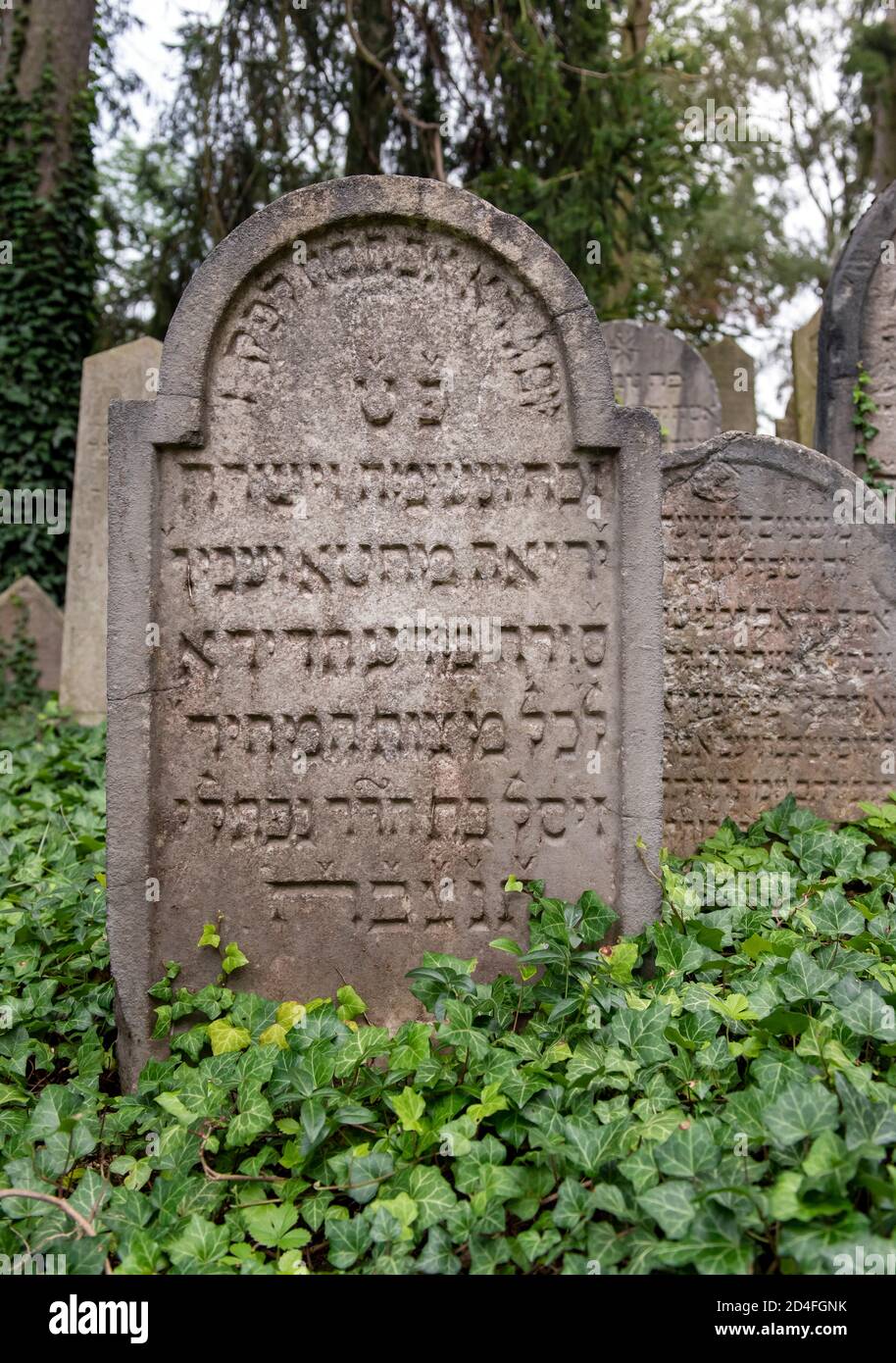 Lapide al Cimitero Ebraico, Trebbic (Třebíč), Repubblica Ceca Foto Stock