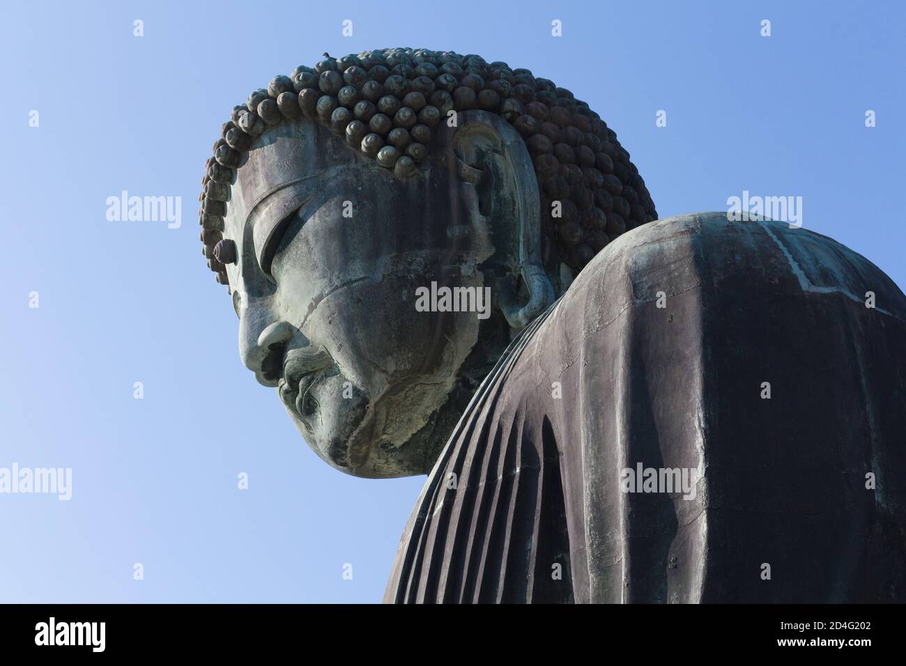 KAMAKURA, GIAPPONE - 30 dicembre 2014: 30 dicembre 2014, Kanagawa, Giappone - una statua di Buddha (Kamakura Daibutsu) a Kotoku-in, un tempio buddista del Jo Foto Stock
