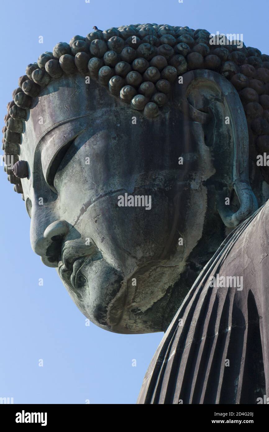 KAMAKURA, GIAPPONE - 30 dicembre 2014: 30 dicembre 2014, Kanagawa, Giappone - una statua di Buddha (Kamakura Daibutsu) a Kotoku-in, un tempio buddista del Jo Foto Stock
