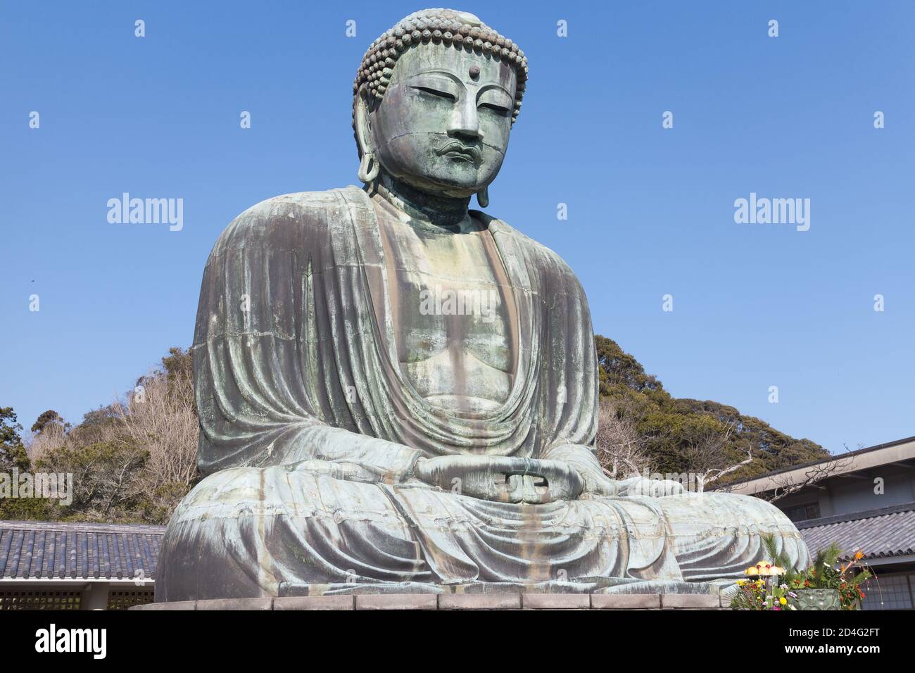 KAMAKURA, GIAPPONE - 30 dicembre 2014: 30 dicembre 2014, Kanagawa, Giappone - una statua di Buddha (Kamakura Daibutsu) a Kotoku-in, un tempio buddista del Jo Foto Stock