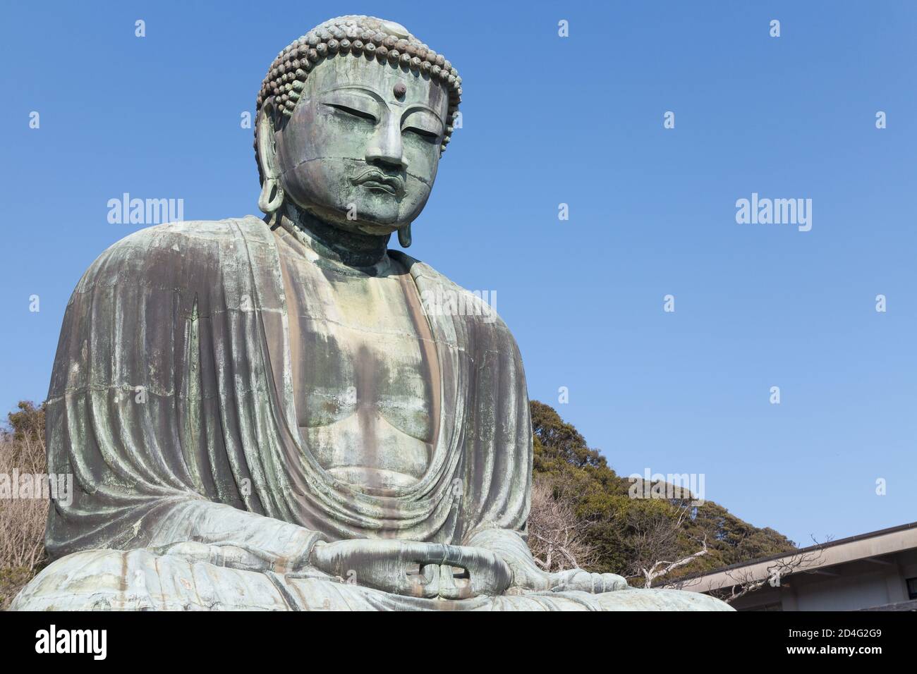 KAMAKURA, GIAPPONE - 30 dicembre 2014: 30 dicembre 2014, Kanagawa, Giappone - una statua di Buddha (Kamakura Daibutsu) a Kotoku-in, un tempio buddista del Jo Foto Stock