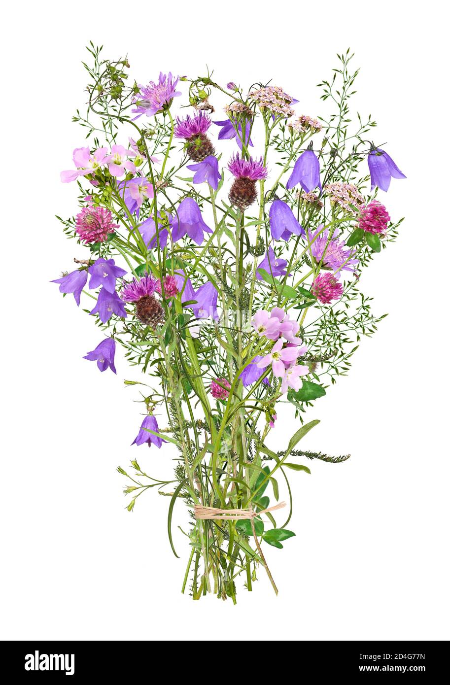 Bouquet con vari fiori selvatici, isolati Foto Stock