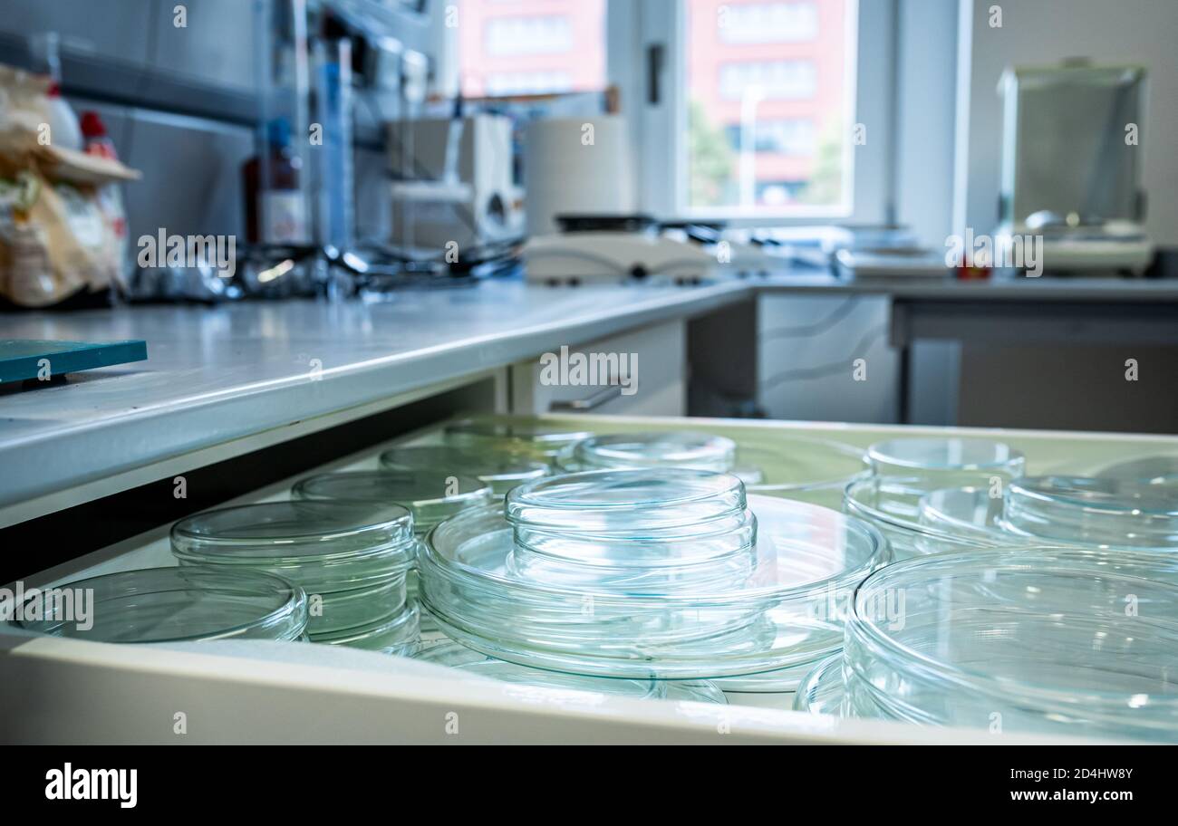 Capsule di Petri (piastra Petri o piastra per colture cellulari) nel laboratorio di biochimica, la piastra Petri è una piastra cilindrica con coperchio in vetro o plastica utilizzata per la coltura Foto Stock