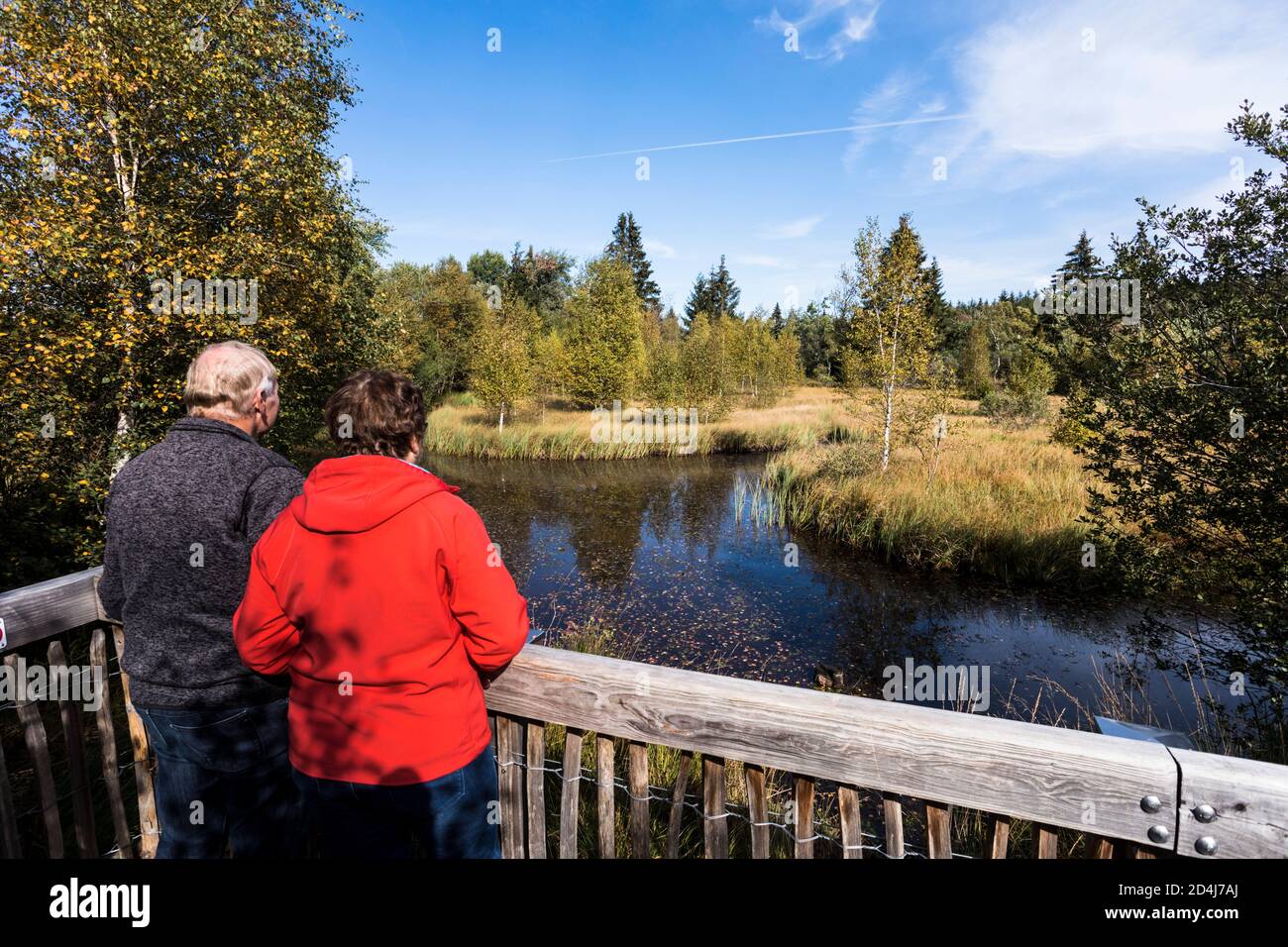 Mutzenicher Venn riserva naturale nelle High Fens nel Nord Eifel Foto Stock