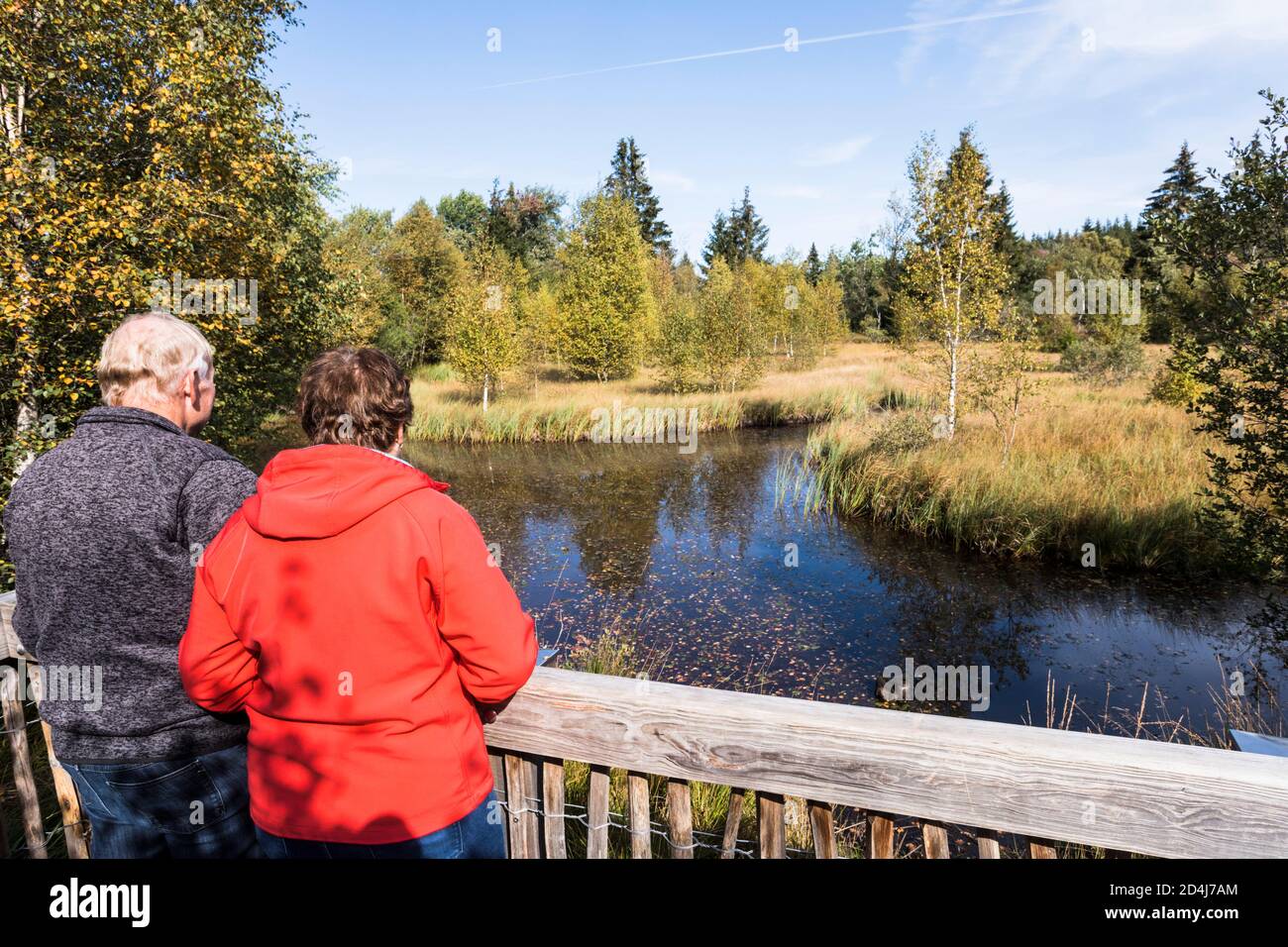 Mutzenicher Venn riserva naturale nelle High Fens nel Nord Eifel Foto Stock