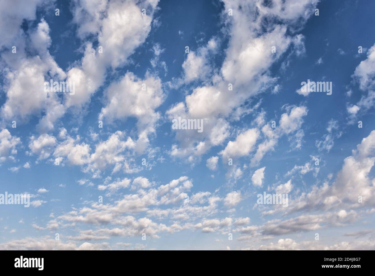 Nuvole bianche soffici nel cielo blu. Splendido sfondo naturale con nuvole Foto Stock