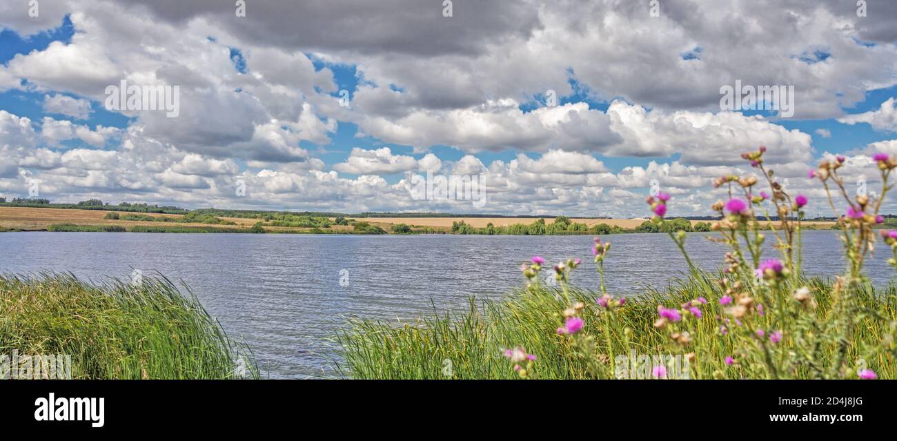 Panorama di un lago circondato da erba, cespugli e campi, con un punto di pesca e numerose nubi di cumuli nel cielo blu estivo Foto Stock