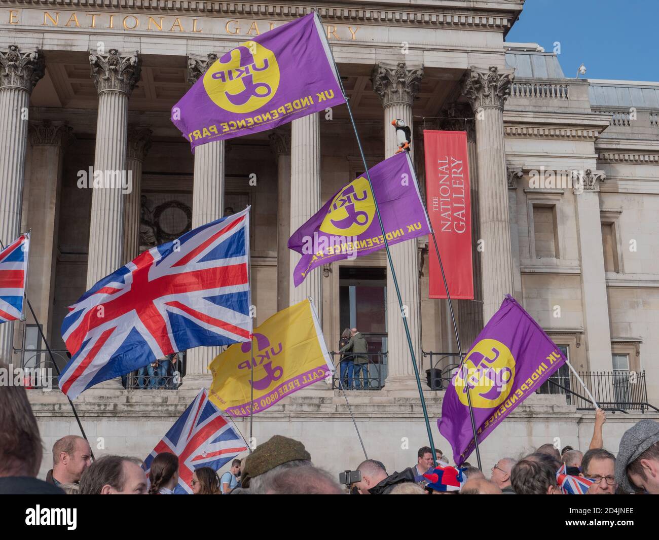 I sostenitori del partito britannico UKIP vedevano sventolare le loro bandiere Con logo e Union Jacks Foto Stock