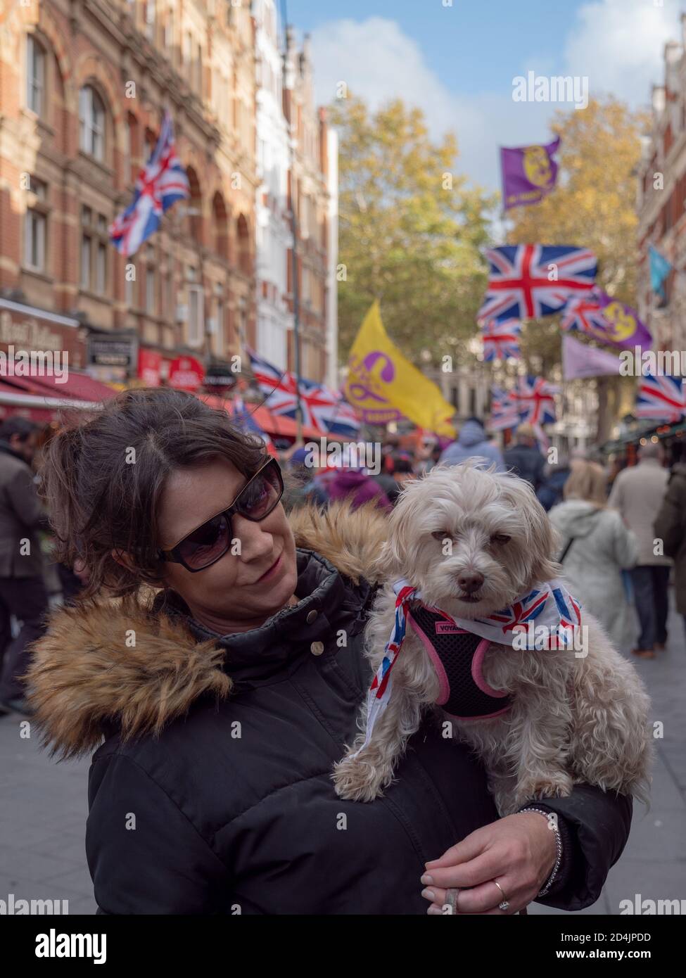 Un cane, portato dal proprietario, è visto fissarsi nella macchina fotografica e avere un Union Jack come collare. Foto Stock