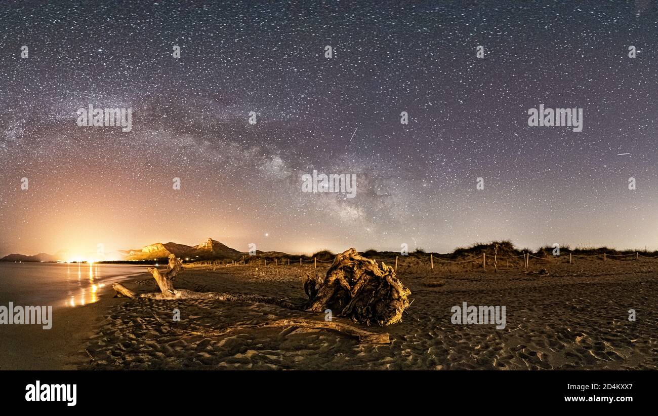 Il vecchio tronco si è intrecciato sulla spiaggia di Son Serra de Marina, una notte stellata e con la via lattiginosa sullo sfondo Foto Stock
