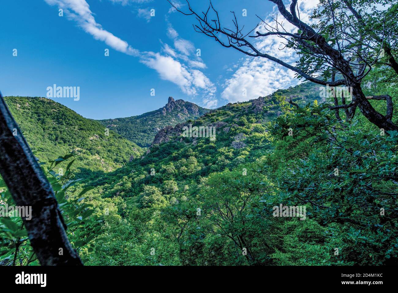 Verdi colline rivelando una montagna rocciosa vetta vicino alla città di Sliven in Bulgaria. 'Sinite Kamani' ('rocce blu") Mountain National Park. Foto Stock