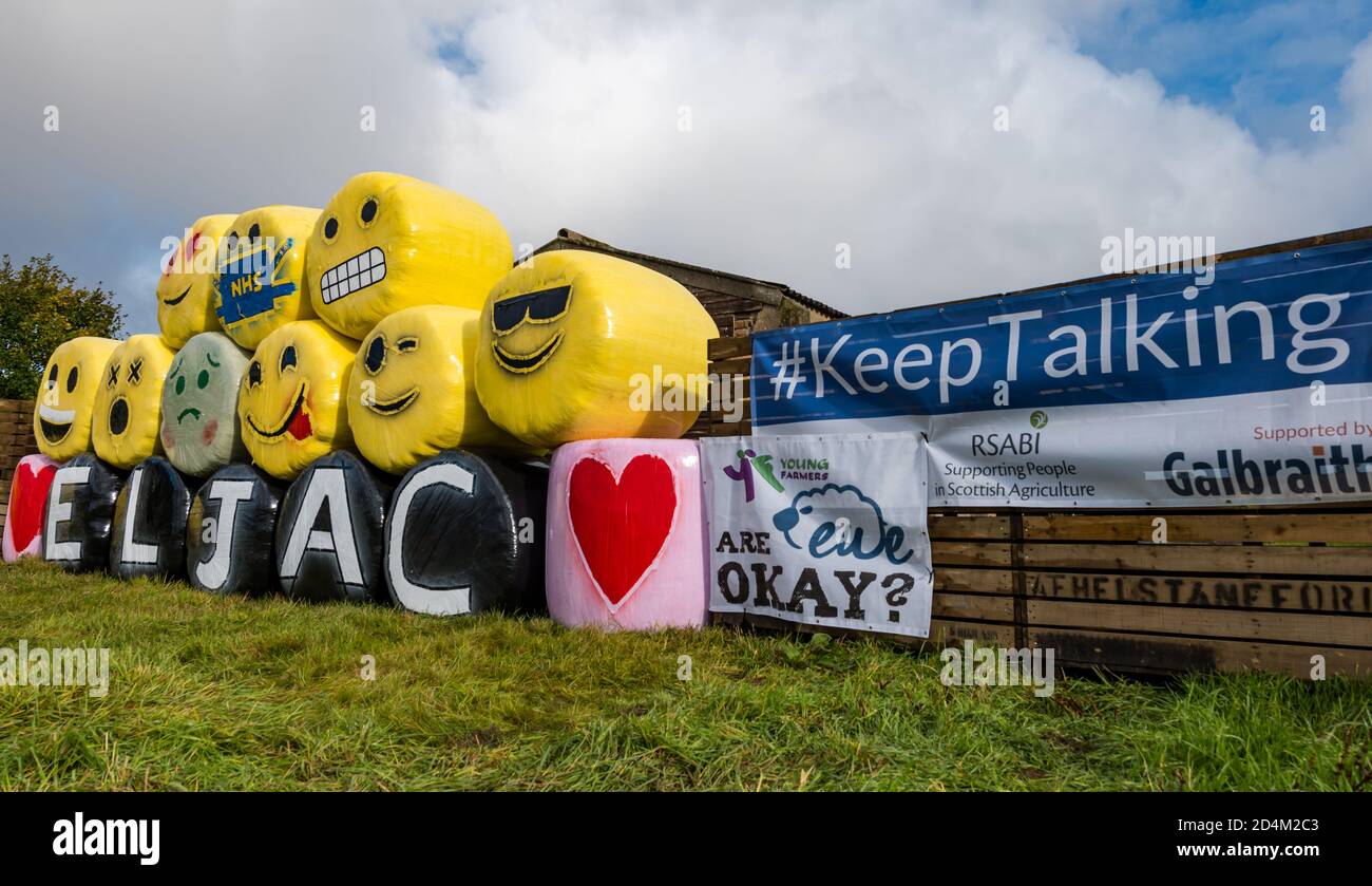 Balle di fieno stravaganti, Bale ART 2020, raccolta di fondi per beneficenza da parte di giovani agricoltori, Athelstaneford Farm, East Lothian, Scozia, Regno Unito Foto Stock