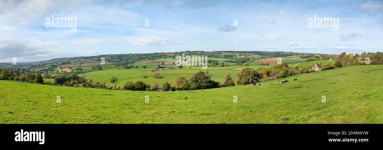 Vista sulla campagna del Wiltshire, vicino a Box, Wiltshire, Regno Unito. Sole luminoso, muro di pietra Foto Stock