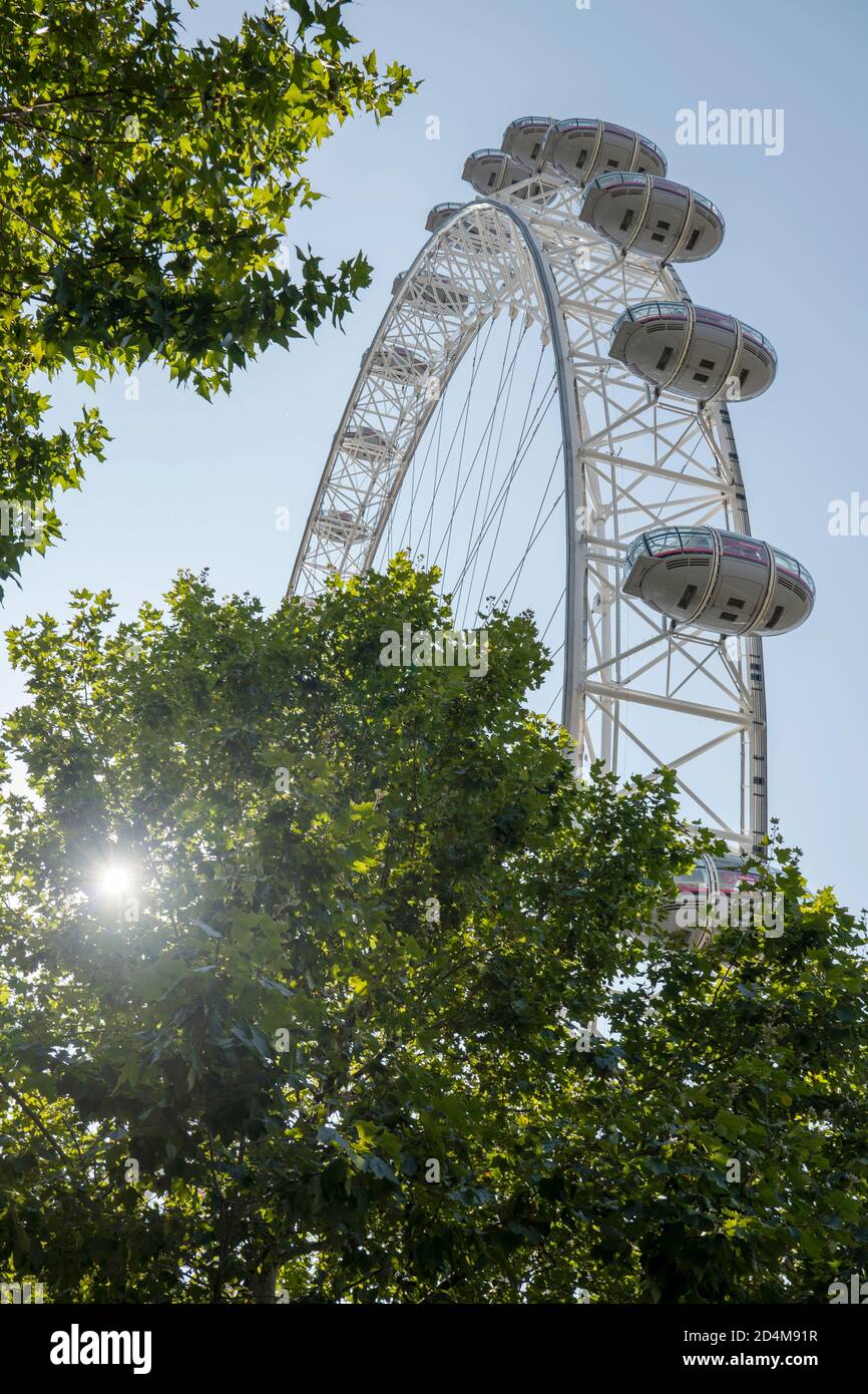 The London Eye al Jubilee Park and Garden il 14 settembre 2020 sulla South Bank nel Regno Unito. Foto di Sam Mellish Foto Stock