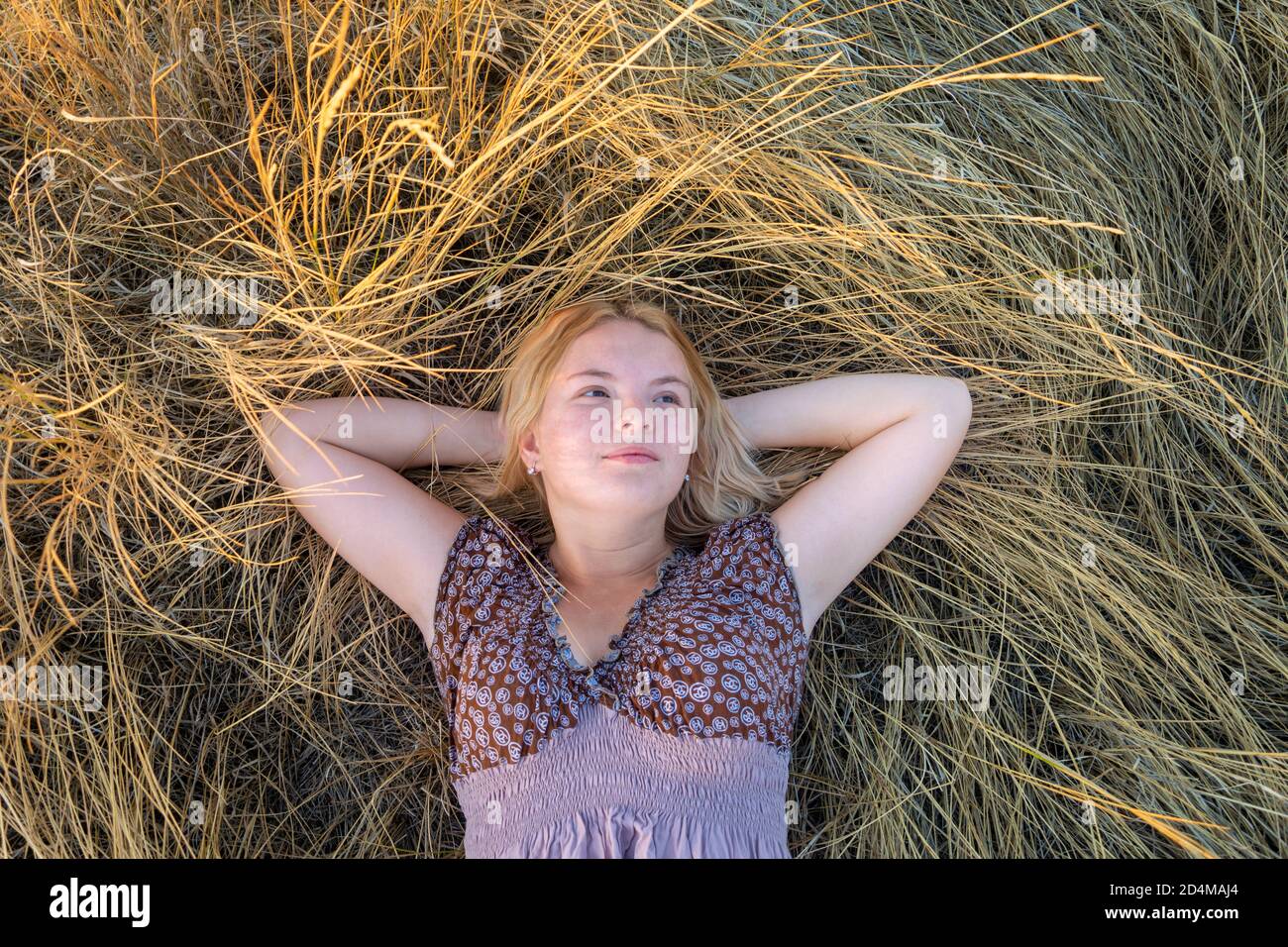 Bella giovane donna bionda si trova nel radicarsi tra l'erba secca e guarda in su. Vista dall'alto. Il concetto di felicità e relax Foto Stock