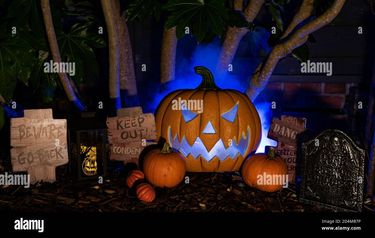 Tema hunted Halloween, zucca animata spooky con luci di fumo e segni nel buio circondato da alberi. Foto Stock