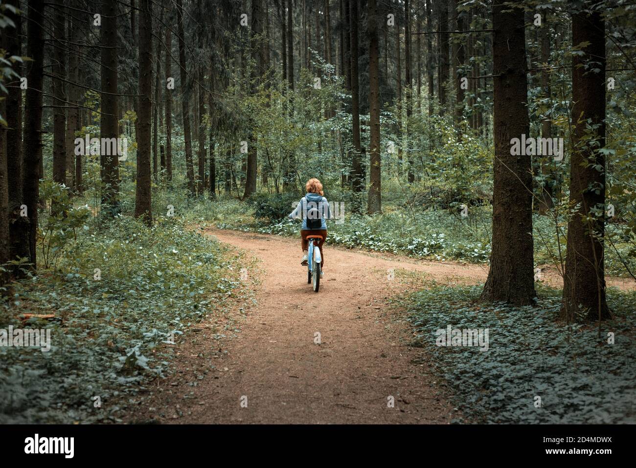 Una donna si muove in lontananza lungo una strada forestale in bicicletta Foto Stock