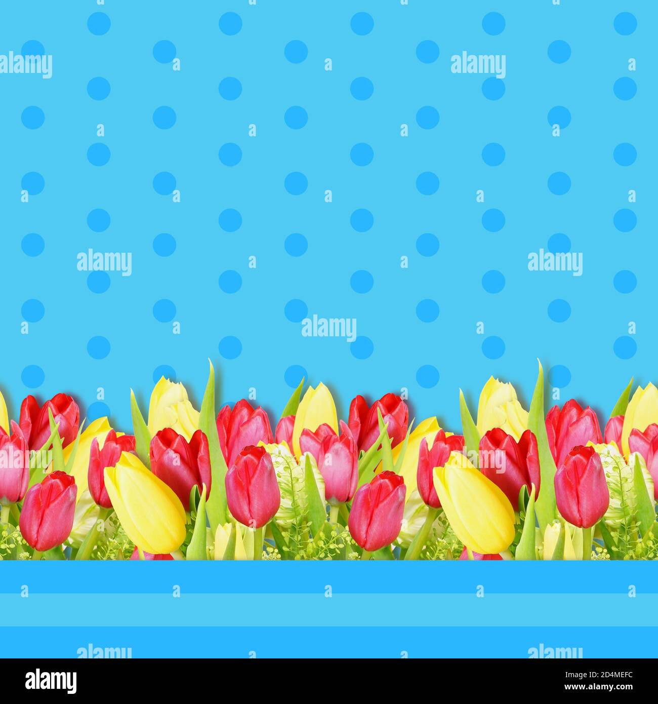 Ornamento floreale per tessuti. Tulipani su uno sfondo blu puntino polka. Sfondo orizzontale senza giunture. Foto Stock