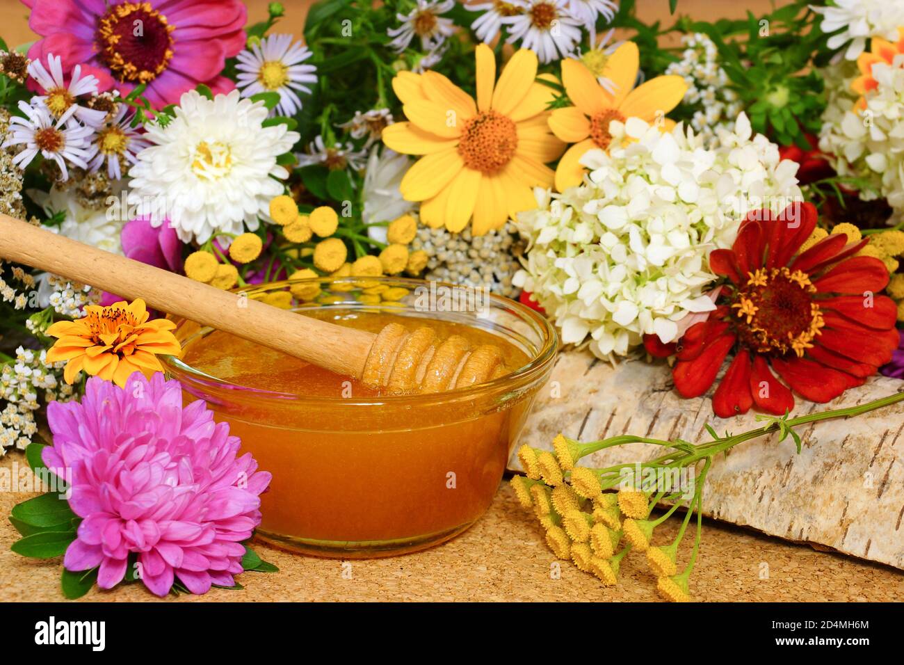 Miele di fiori. Tra il campo e fiori da giardino. Foto Stock