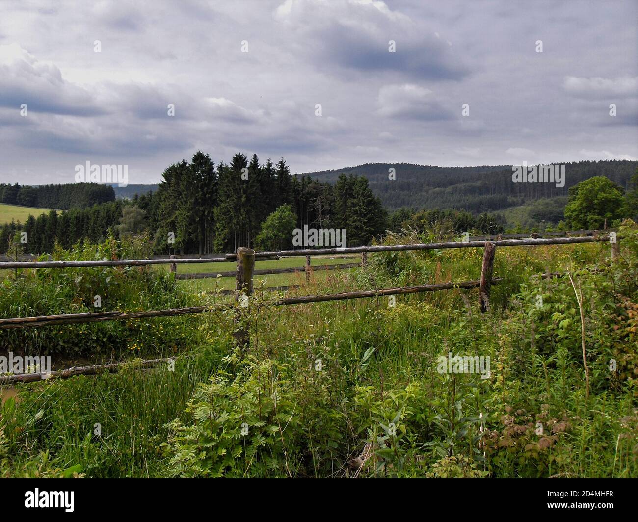 Le ravel près de Saint-Vith, provincia di Liegi, Belgio Foto Stock