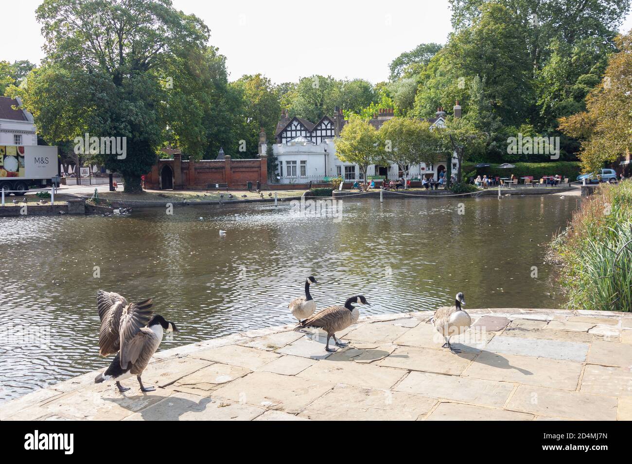 Honeywood Tea Rooms, Carshalton Ponds, Carshalton, London Borough of Sutton, Greater London, England, Regno Unito Foto Stock