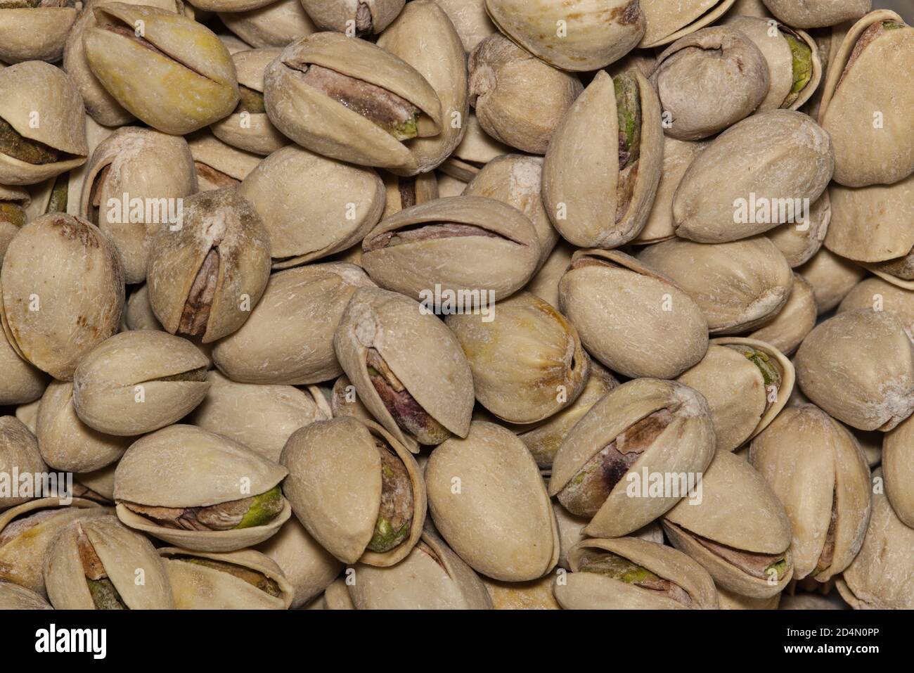 Pistacchio noci sparse primo piano immagine macro. Gli alberi sono nativi dell'Asia e del Medio Oriente. Foto Stock