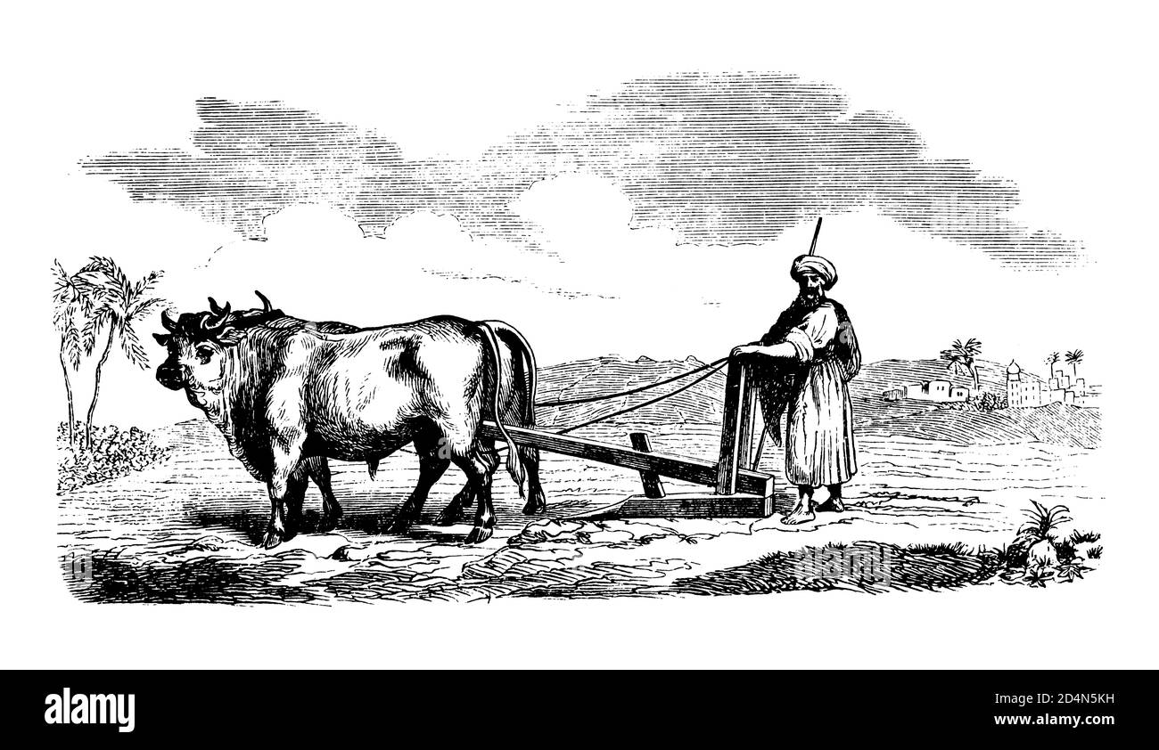 Attrezzature agricole antiche - Strumenti e macchine agricole d'epoca dal 19th secolo originale Arte Antica Illustrazione Bianco e Nero Foto Stock