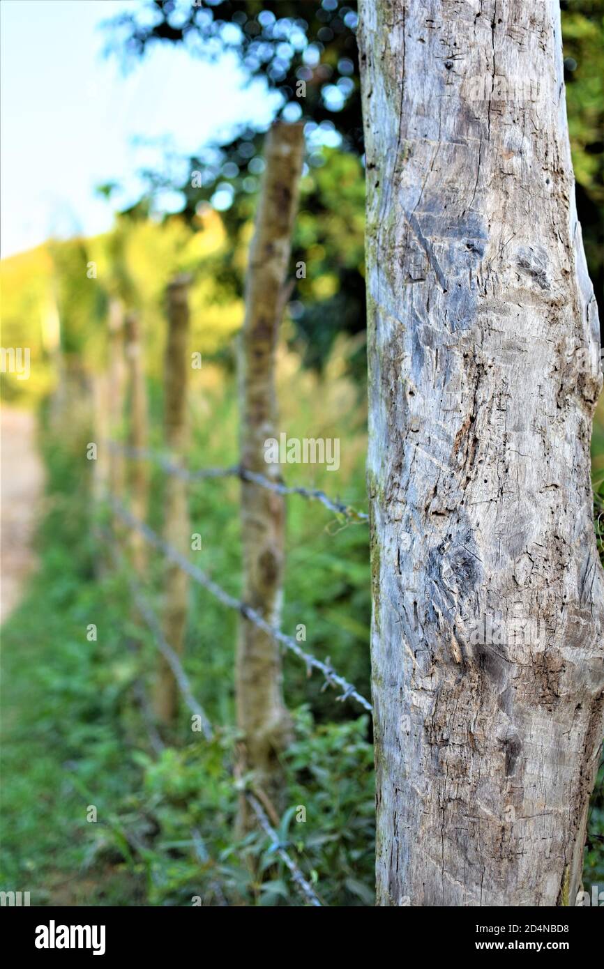 Una recinzione fatta di bastoni di legno e recinzioni di filo spinato una terra privata Foto Stock