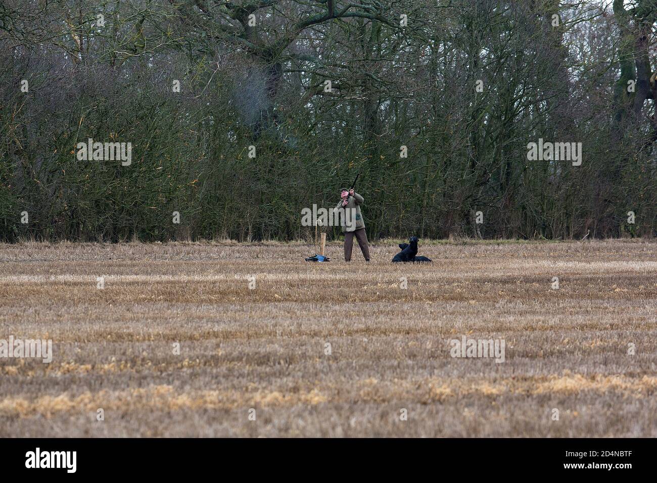 Tiro al volo guidato nel Lancashire, Inghilterra Foto Stock