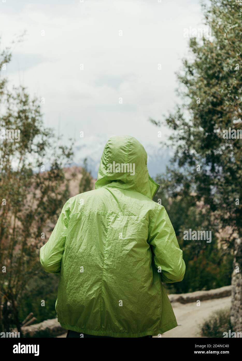 Un uomo che indossa un windcheater al neon che cammina in un sentiero forestale nell'Himalaya, Ladakh, India. Foto Stock