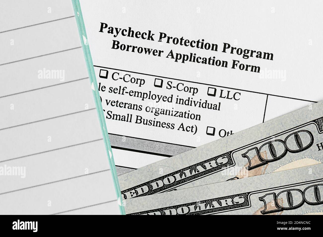 programma di protezione di paycheck. modulo di domanda del mutuatario. Foto Stock