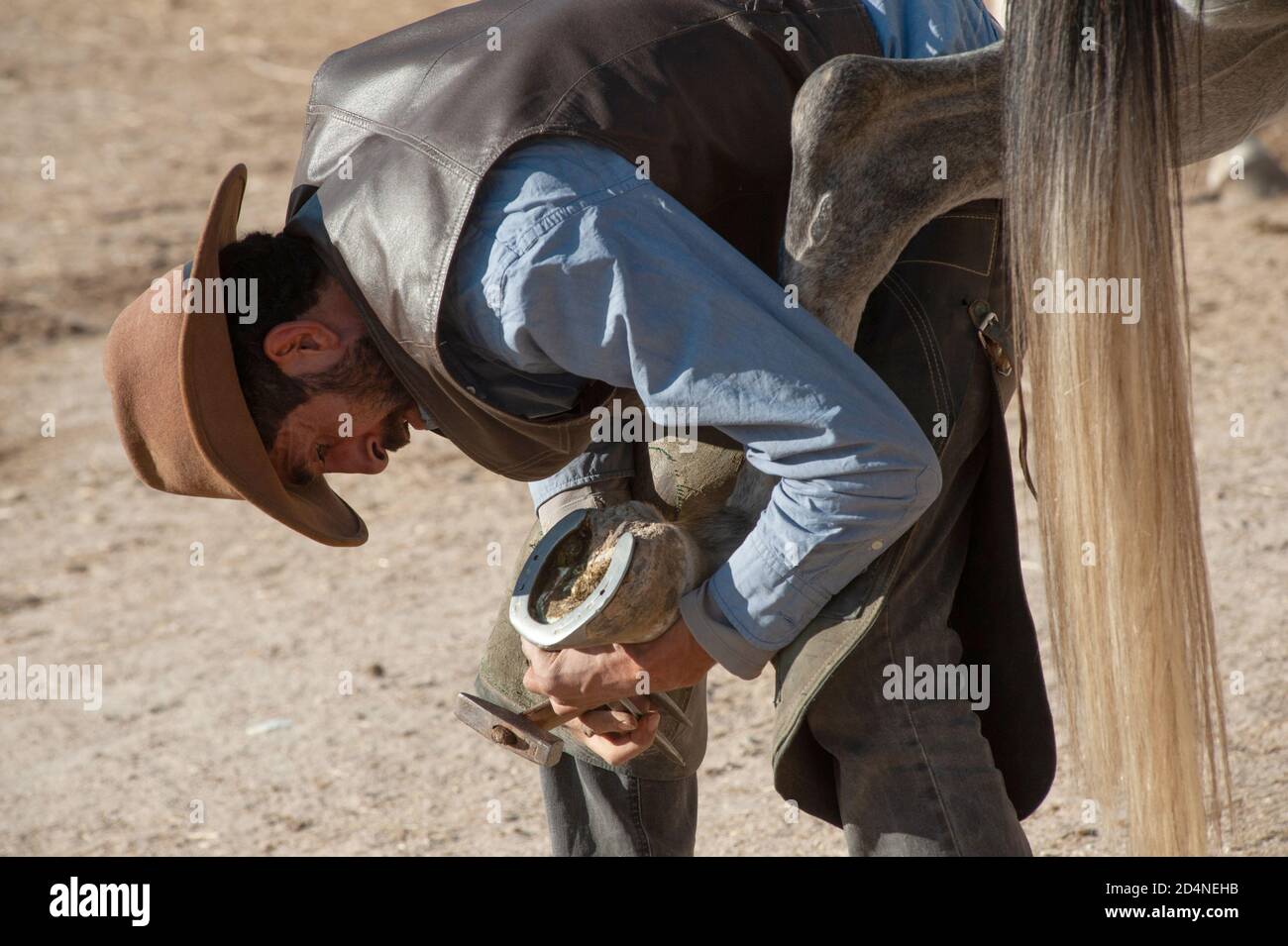 Cappadocia, T urkey. 8 novembre 2017 Irfan non ha bisogno di un guerriero, con l'aiuto dei video di YouTube si è insegnato a cambiare le scarpe del cavallo Foto Stock