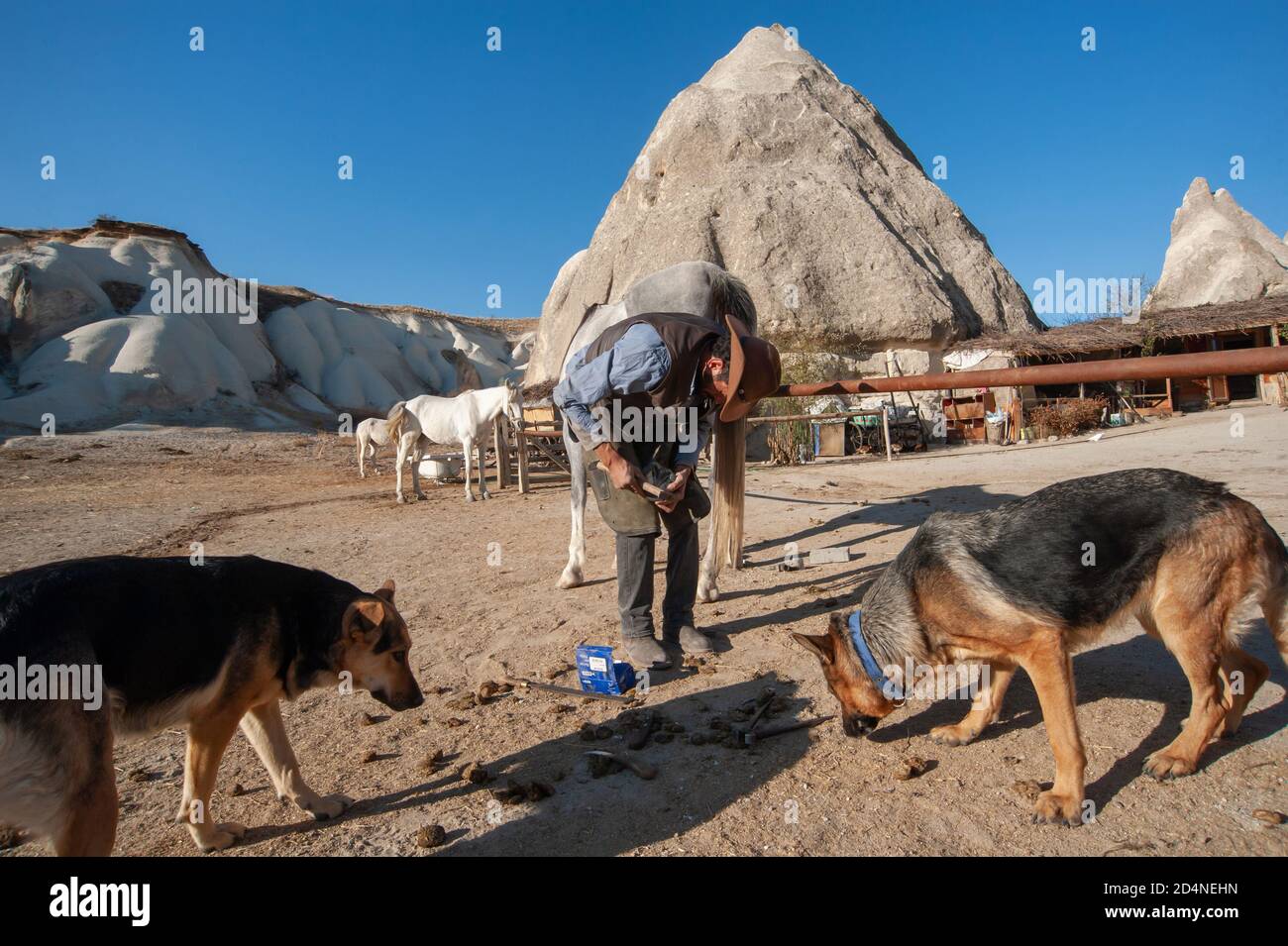 Cappadocia, T urkey. 8 novembre 2017 Irfan non ha bisogno di un guerriero, con l'aiuto dei video di YouTube si è insegnato a cambiare le scarpe del cavallo Foto Stock