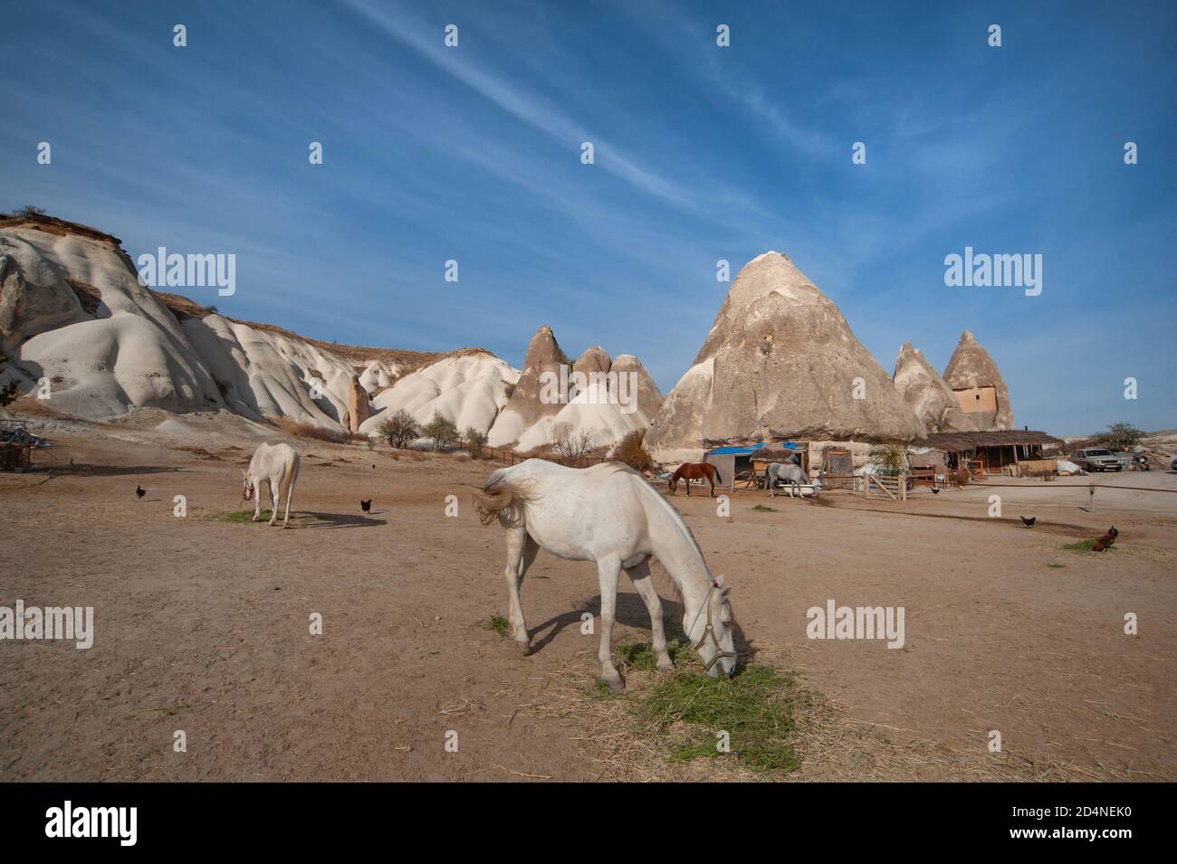 Cappadocia, Turchia. 8 Novembre 2017 Lucky Horse Ranch è immerso tra i camini delle fate in una valle appena dietro la città Cappadocia di Goreme Foto Stock