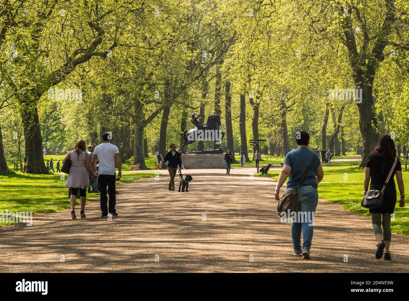 Bellissimo parco con alberi che costeggiano un sentiero e una statua di un uomo e un cavallo in lontananza. Hyde Park Londra Foto Stock