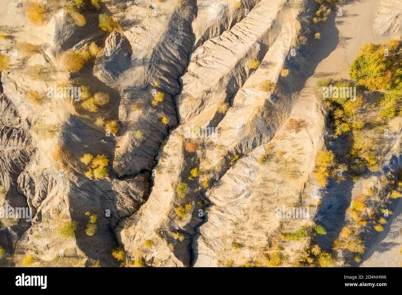 Vista dall'alto delle pieghe montuose del terreno un giorno d'autunno Foto Stock