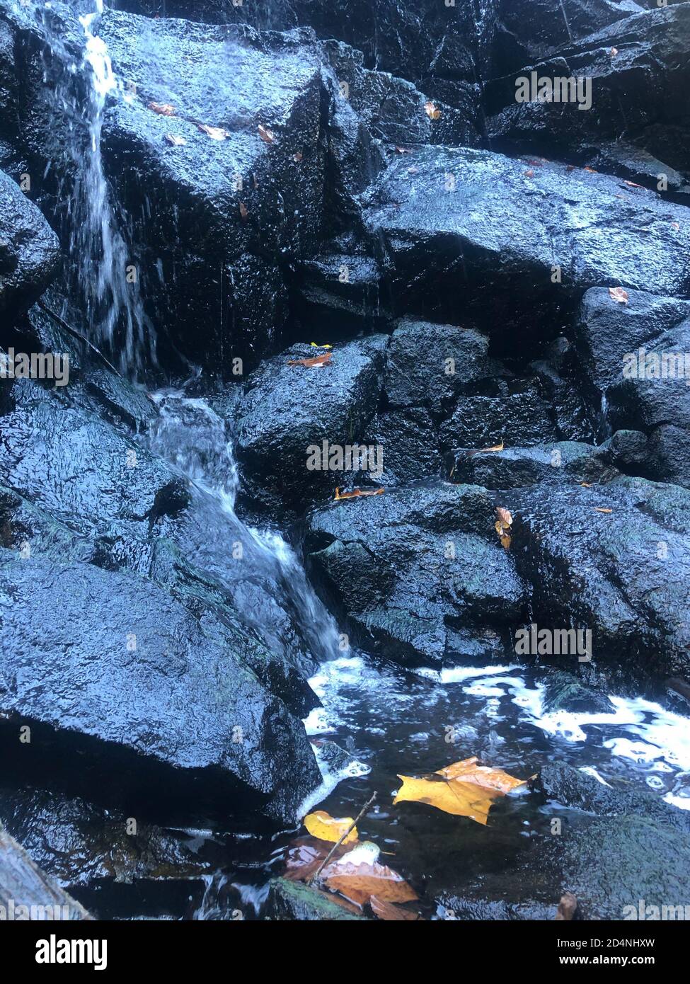 L'acqua fuoriesce da splendide rocce nere con foglie di autunno gialle. Foto Stock