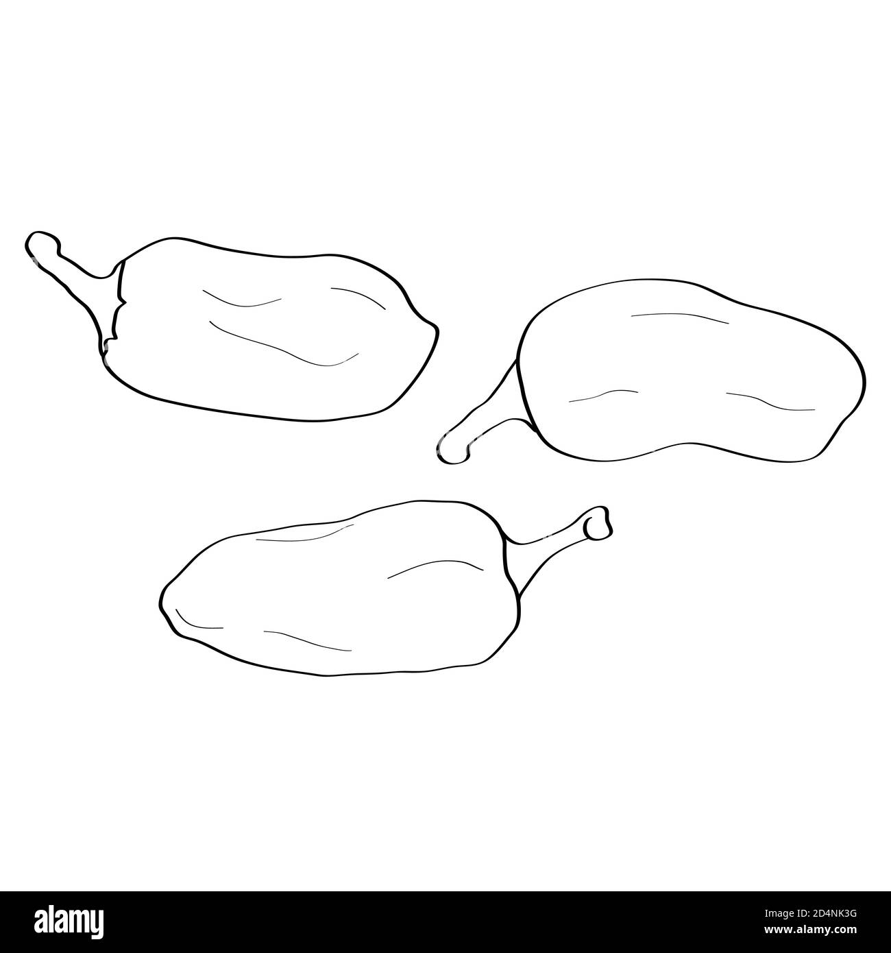 Pepe. Icona a forma di doodle disegnata a mano. Immagine vettoriale in bianco e nero isolata su sfondo bianco. Decorazione per biglietti d'auguri, poster, patches, pri Illustrazione Vettoriale