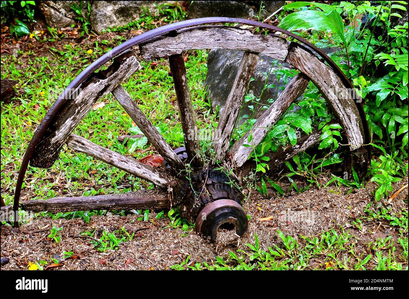 Una vecchia ruota di carro abbandonata con un cerchio di ferro e stanghini di legno marchiati. Foto Stock