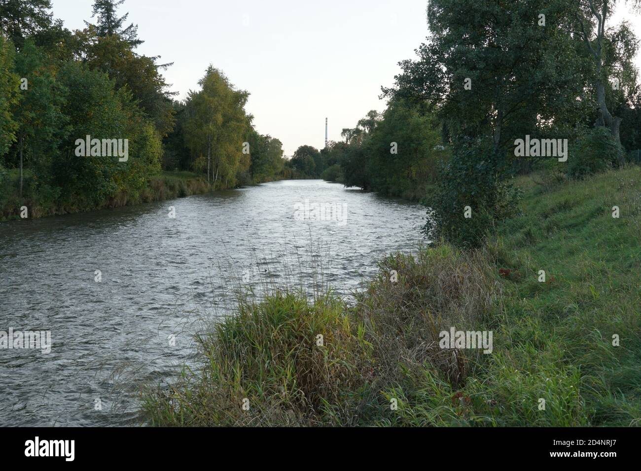 Fiume Turiec nella città di Martin nel nord della Slovacchia con vegetazione selvaggia, arbusti di alberi e erba alta su entrambe le rive. La foto scattata dalla riva del fiume. Foto Stock