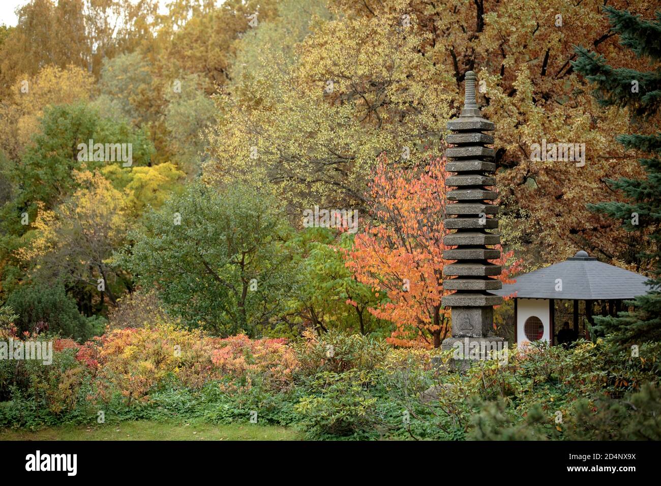 Pietra 13-Tier pagoda e casa da tè nel botanico principale giardino dell'Accademia delle Scienze della Russia (Mostra ' giardino giapponese) Foto Stock