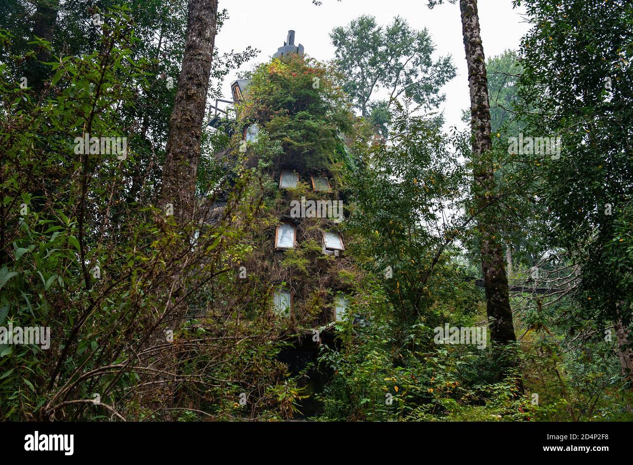Huilo Huilo Huilo, Neltaume/Cile - Marzo 28 2014: L'Hotel Magic Mountain Foto Stock