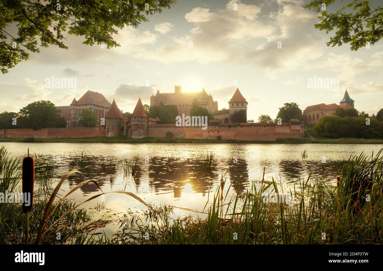 Panorama del castello teutonico medievale a Malbork, Polonia Foto Stock