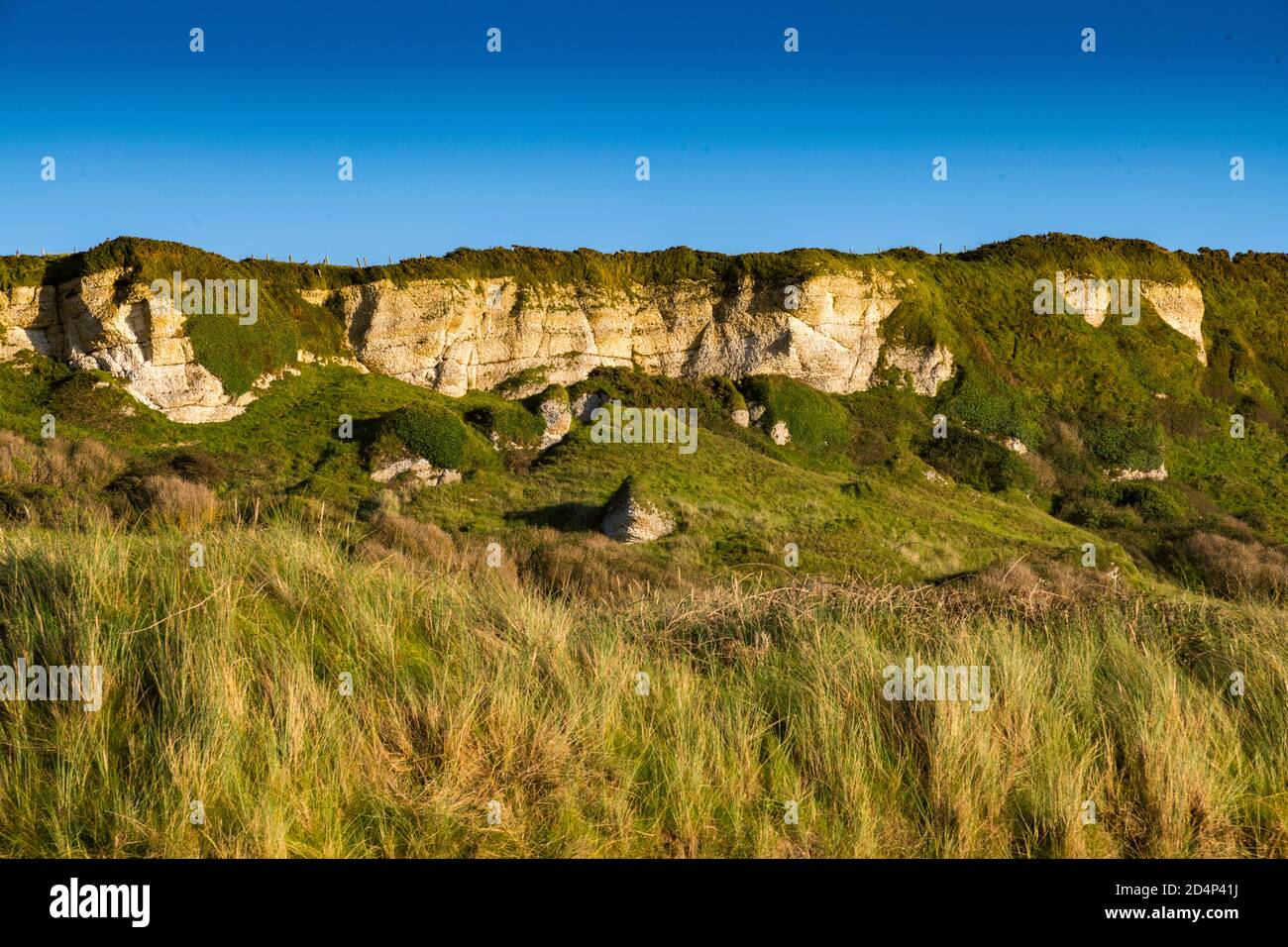 White Park Bay, Antrim Coast, Irlanda del Nord Foto Stock