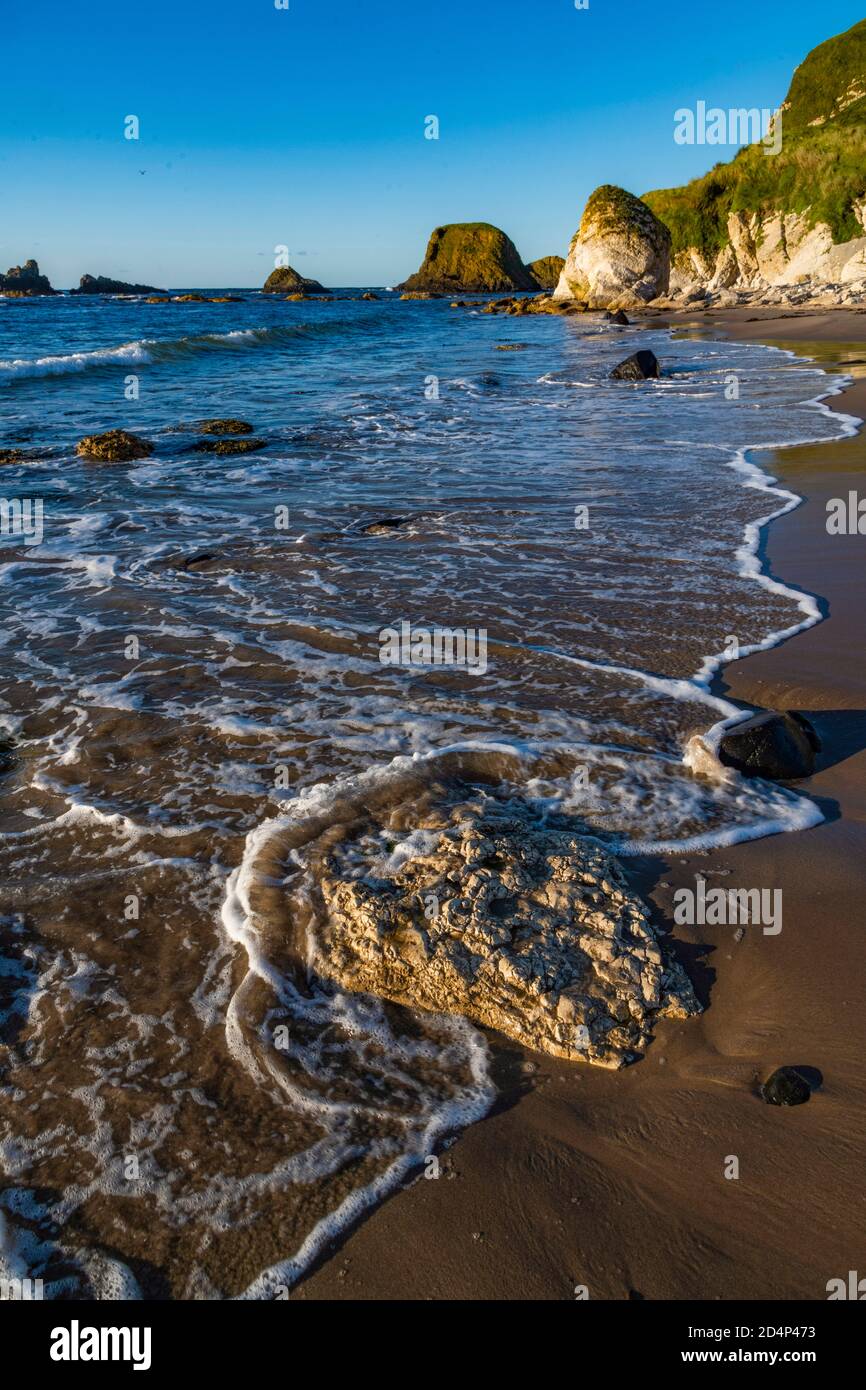 White Park Bay, Antrim Coast, Irlanda del Nord Foto Stock