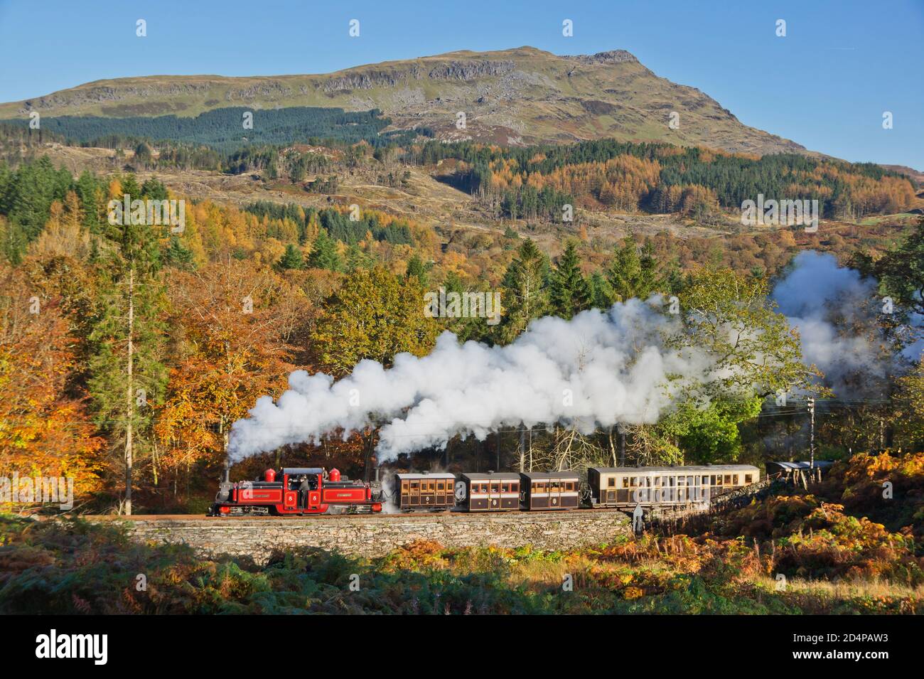 Double Fairlie No.12 David Lloyd George arrotonda fischio curva con La FR Vintage Set Ffestiniog Railway Novemebr 2015 Foto Stock